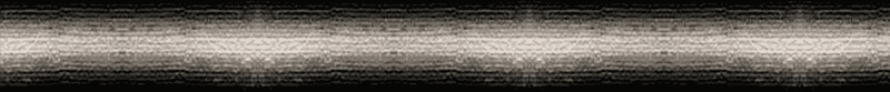 Newton's Laws